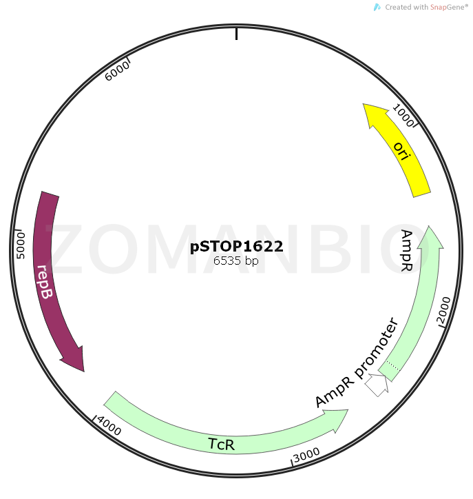 ZK1013pSTOP1622.png